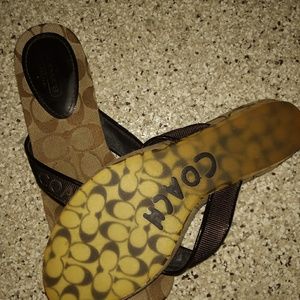 Coach Flippy Floppies!